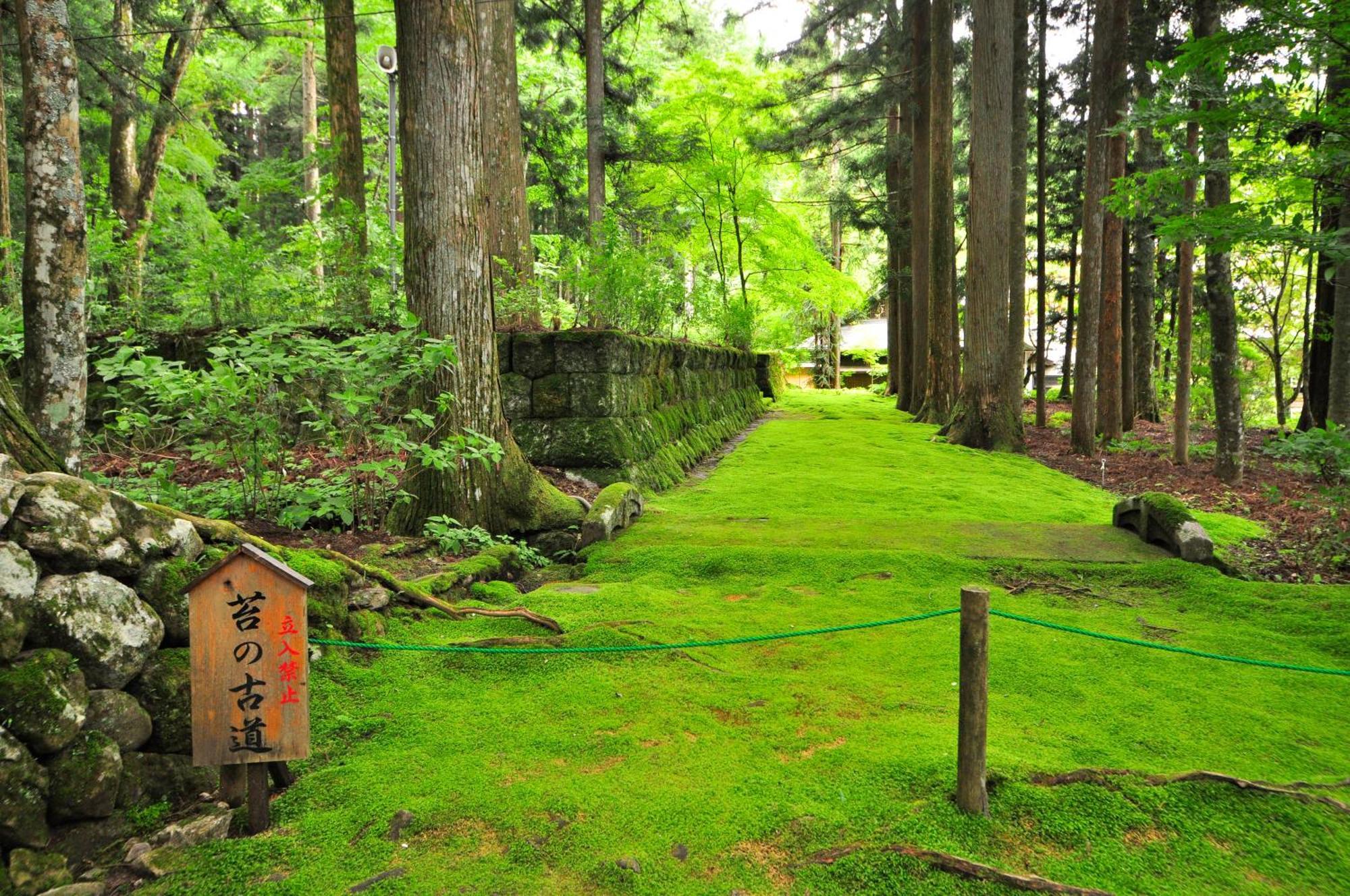 Hotel Yamabuki Komagane Exteriör bild